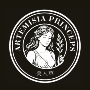 1008-0001 美意識革命 60日プログラム